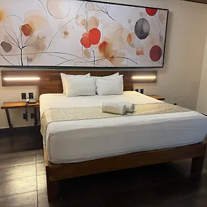 Szálloda Kavia 5th Avenida (adults Only) ****